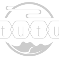 custom_website